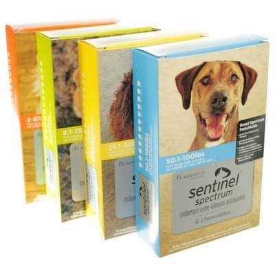 Sentinel Spectrum for Dogs - Pet Supplies online sale